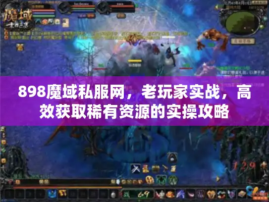 898魔域私服网，老玩家实战，高效获取稀有资源的实操攻略