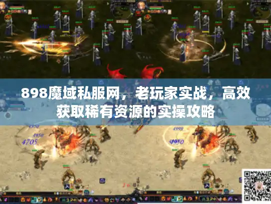 898魔域私服网，老玩家实战，高效获取稀有资源的实操攻略