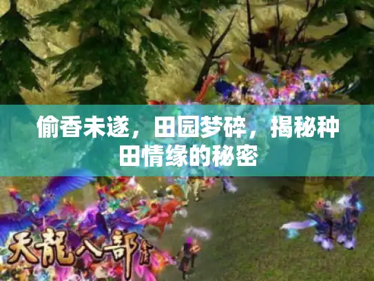 偷香未遂，田园梦碎，揭秘种田情缘的秘密