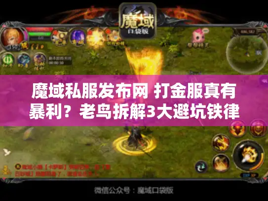 魔域私服发布网 打金服真有暴利？老鸟拆解3大避坑铁律