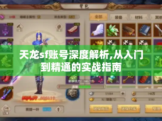 天龙sf账号深度解析,从入门到精通的实战指南