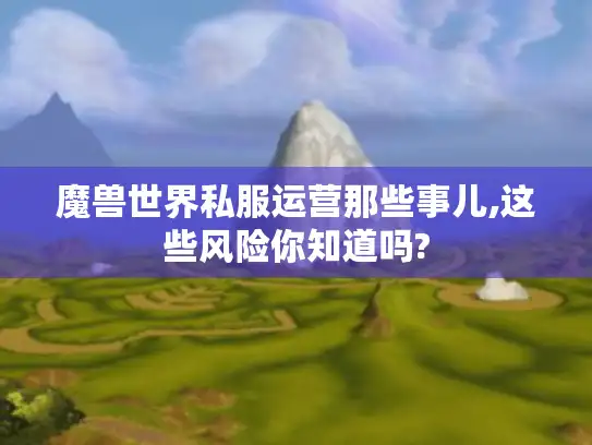 魔兽世界私服运营那些事儿,这些风险你知道吗?