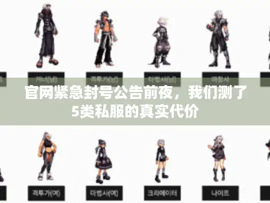 官网紧急封号公告前夜,我们测了5类私服的真实代价 官网紧急封号公告前夜,我们测了5类私服的真实代价