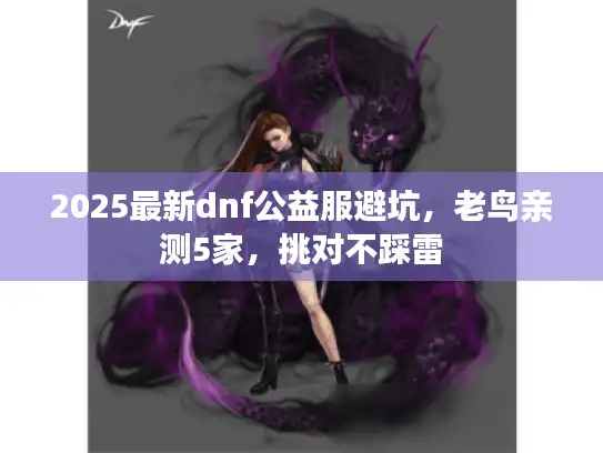 2025最新dnf公益服避坑，老鸟亲测5家，挑对不踩雷