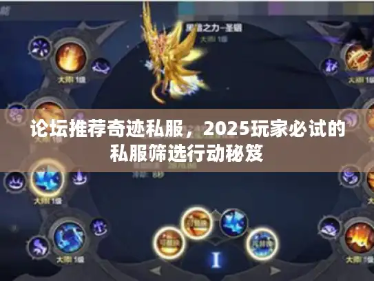 论坛推荐奇迹私服，2025玩家必试的私服筛选行动秘笈