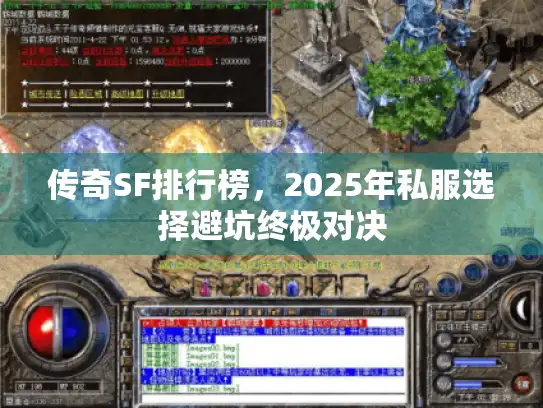 传奇SF排行榜，2025年私服选择避坑终极对决