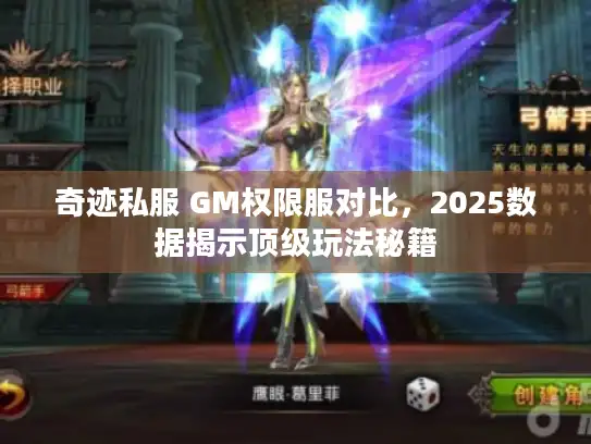 奇迹私服 GM权限服对比，2025数据揭示顶级玩法秘籍