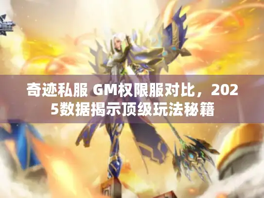 奇迹私服 GM权限服对比，2025数据揭示顶级玩法秘籍