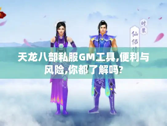 天龙八部私服GM工具,便利与风险,你都了解吗?