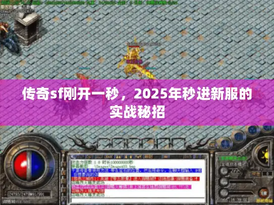 传奇sf刚开一秒，2025年秒进新服的实战秘招