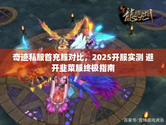 奇迹私服首充服对比，2025开服实测 避开韭菜服终极指南