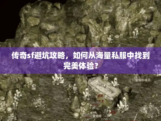 传奇sf避坑攻略，如何从海量私服中找到完美体验？
