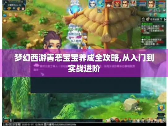 梦幻西游善恶宝宝养成全攻略,从入门到实战进阶