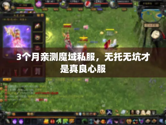3个月亲测魔域私服，无托无坑才是真良心服