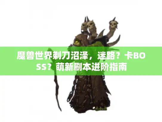 魔兽世界剃刀沼泽，迷路？卡BOSS？萌新刷本进阶指南