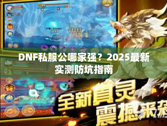 DNF私服公哪家强？2025最新实测防坑指南