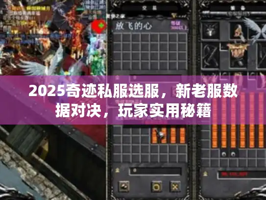 2025奇迹私服选服,新老服数据对决,玩家实用秘籍 2025奇迹私服选服,新老服数据对决,玩家实用秘籍