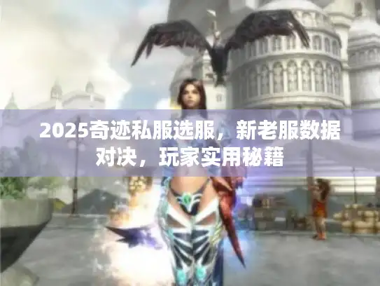 2025奇迹私服选服,新老服数据对决,玩家实用秘籍 2025奇迹私服选服,新老服数据对决,玩家实用秘籍