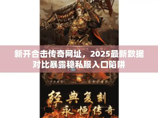 新开合击传奇网址，2025最新数据对比暴露稳私服入口陷阱