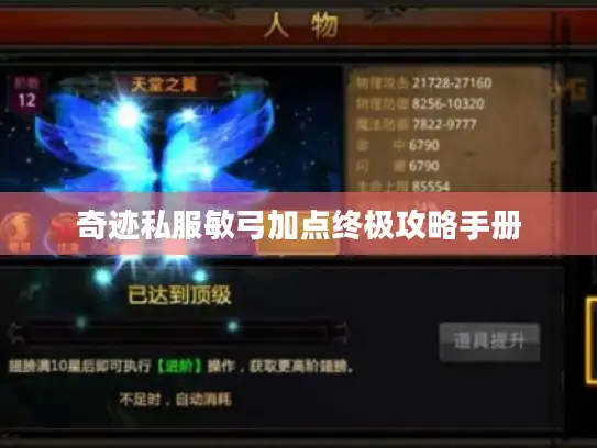 奇迹私服敏弓加点终极攻略手册