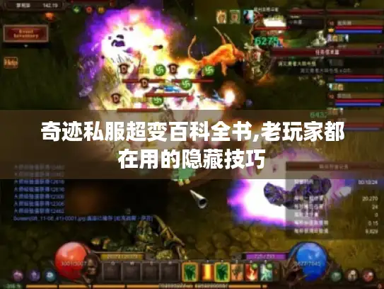 奇迹私服超变百科全书,老玩家都在用的隐藏技巧