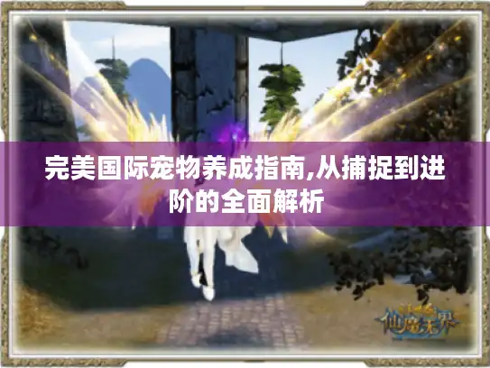 完美国际宠物养成指南,从捕捉到进阶的全面解析 完美国际宠物养成指南,从捕捉到进阶的全面解析