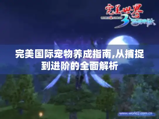 完美国际宠物养成指南,从捕捉到进阶的全面解析 完美国际宠物养成指南,从捕捉到进阶的全面解析