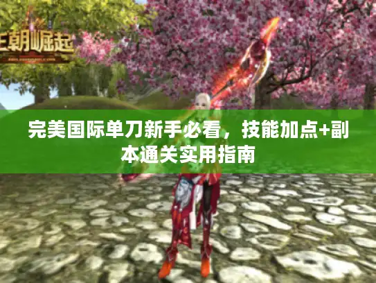完美国际单刀新手必看，技能加点+副本通关实用指南