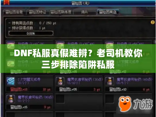 DNF私服真假难辨？老司机教你三步排除陷阱私服