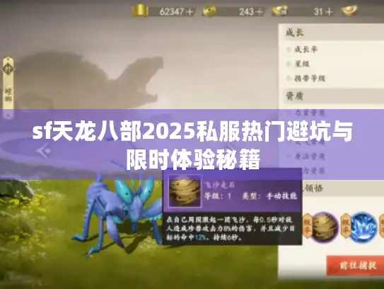 sf天龙八部2025私服热门避坑与限时体验秘籍 sf天龙八部2025私服热门避坑与限时体验秘籍