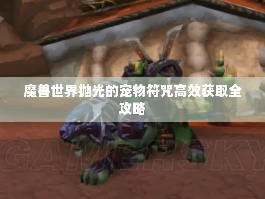 魔兽世界抛光的宠物符咒高效获取全攻略 魔兽世界抛光的宠物符咒高效获取全攻略