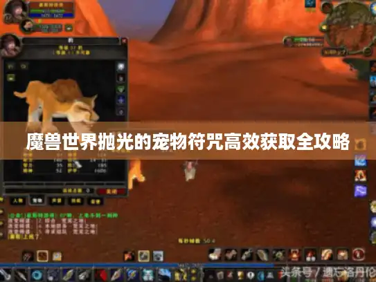 魔兽世界抛光的宠物符咒高效获取全攻略 魔兽世界抛光的宠物符咒高效获取全攻略