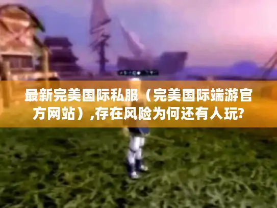 最新完美国际私服（完美国际端游官方网站）,存在风险为何还有人玩?