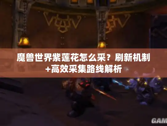 魔兽世界紫莲花怎么采？刷新机制+高效采集路线解析
