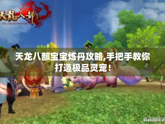 天龙八部宝宝炼丹攻略,手把手教你打造极品灵宠！