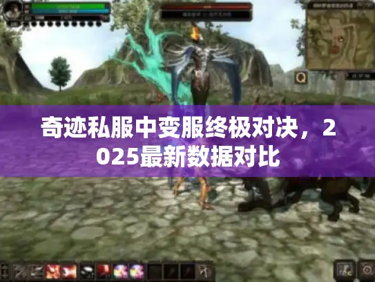 奇迹私服中变服终极对决,2025最新数据对比 奇迹私服中变服终极对决,2025最新数据对比