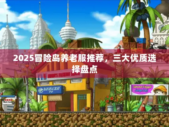 2025冒险岛养老服推荐，三大优质选择盘点