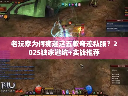 老玩家为何痴迷这五款奇迹私服？2025独家避坑+实战推荐