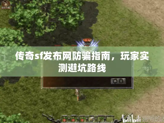 传奇sf发布网防骗指南，玩家实测避坑路线