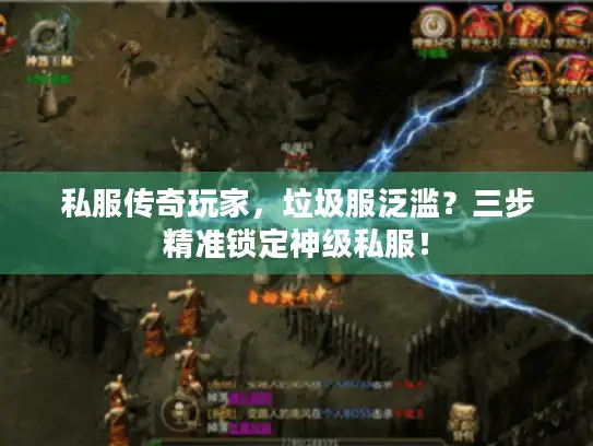 私服传奇玩家,垃圾服泛滥?三步精准锁定神级私服! 私服传奇玩家,垃圾服泛滥?三步精准锁定神级私服!
