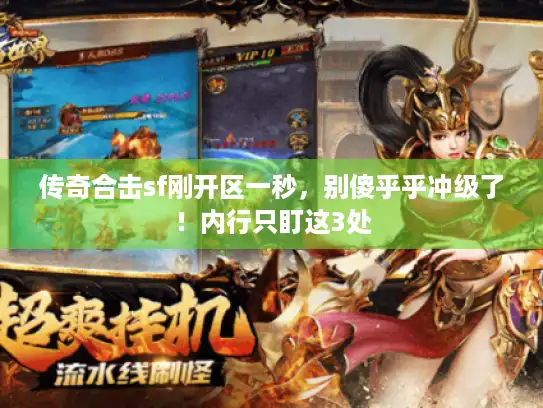 传奇合击sf刚开区一秒，别傻乎乎冲级了！内行只盯这3处