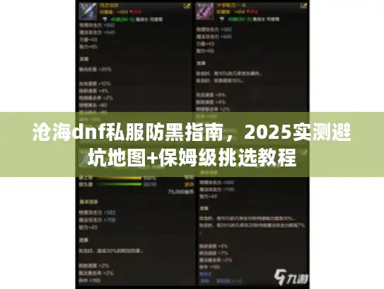 沧海dnf私服防黑指南，2025实测避坑地图+保姆级挑选教程