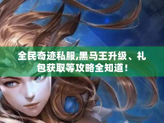 全民奇迹私服,黑马王升级、礼包获取等攻略全知道！