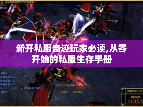 新开私服奇迹玩家必读,从零开始的私服生存手册