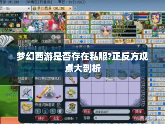 梦幻西游是否存在私服?正反方观点大剖析