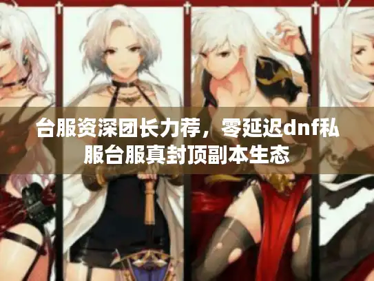 台服资深团长力荐，零延迟dnf私服台服真封顶副本生态