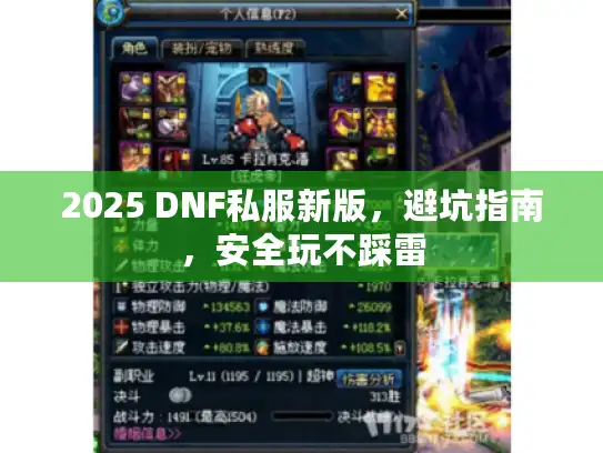2025 DNF私服新版,避坑指南,安全玩不踩雷 2025 DNF私服新版,避坑指南,安全玩不踩雷