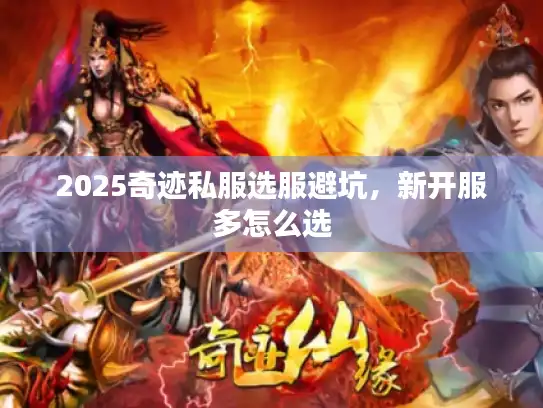 2025奇迹私服选服避坑，新开服多怎么选