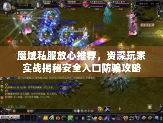 魔域私服放心推荐，资深玩家实战揭秘安全入口防骗攻略