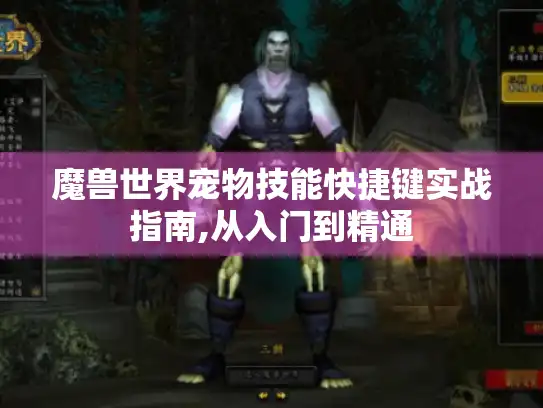 魔兽世界宠物技能快捷键实战指南,从入门到精通